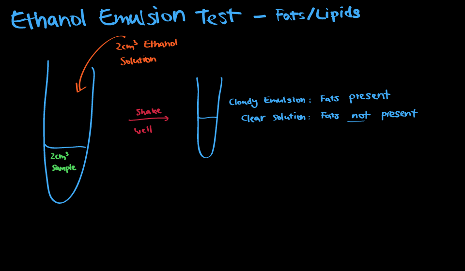 2015 S406/7 Biology Blog 20140302
